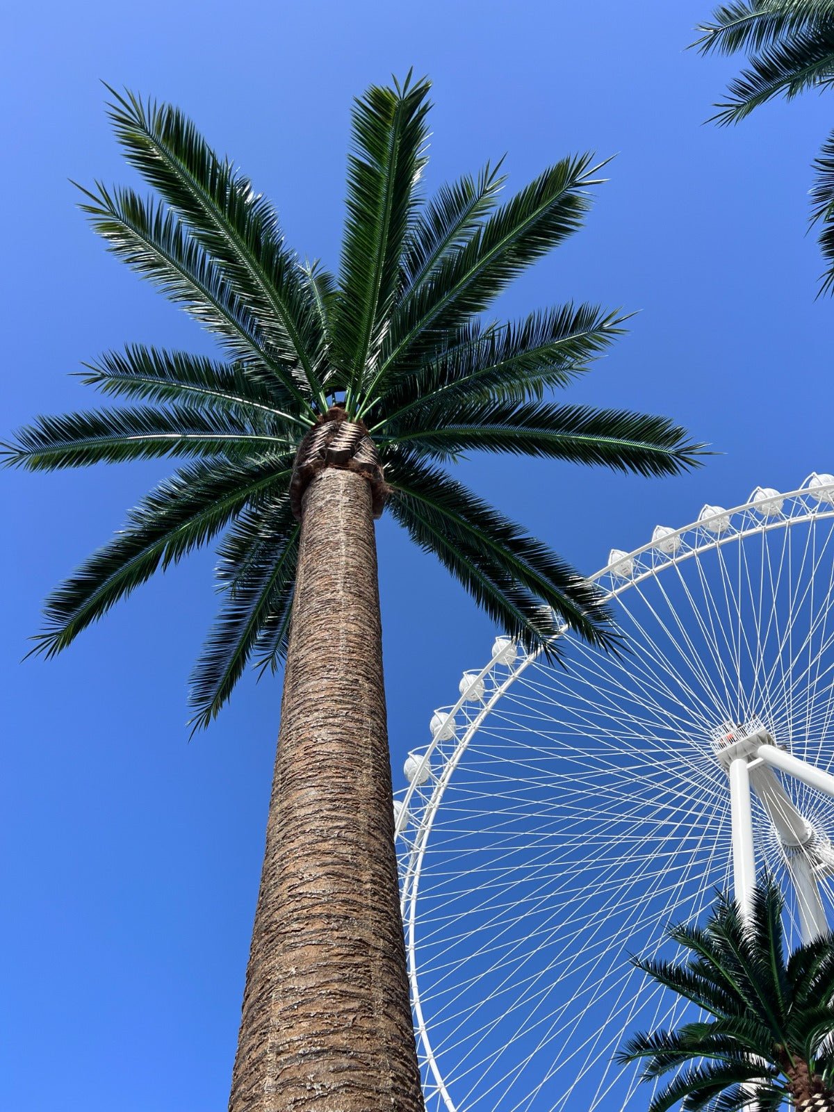 Florida Palm Artificial Tree 13ft–23ft – UV Resistant (10–12 Week Lead Time)-4
