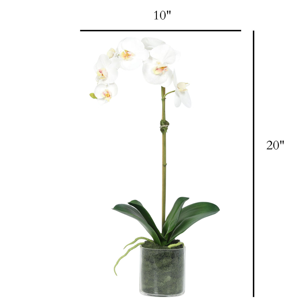 Artificial Orchid Plant in Vase - 20"-4