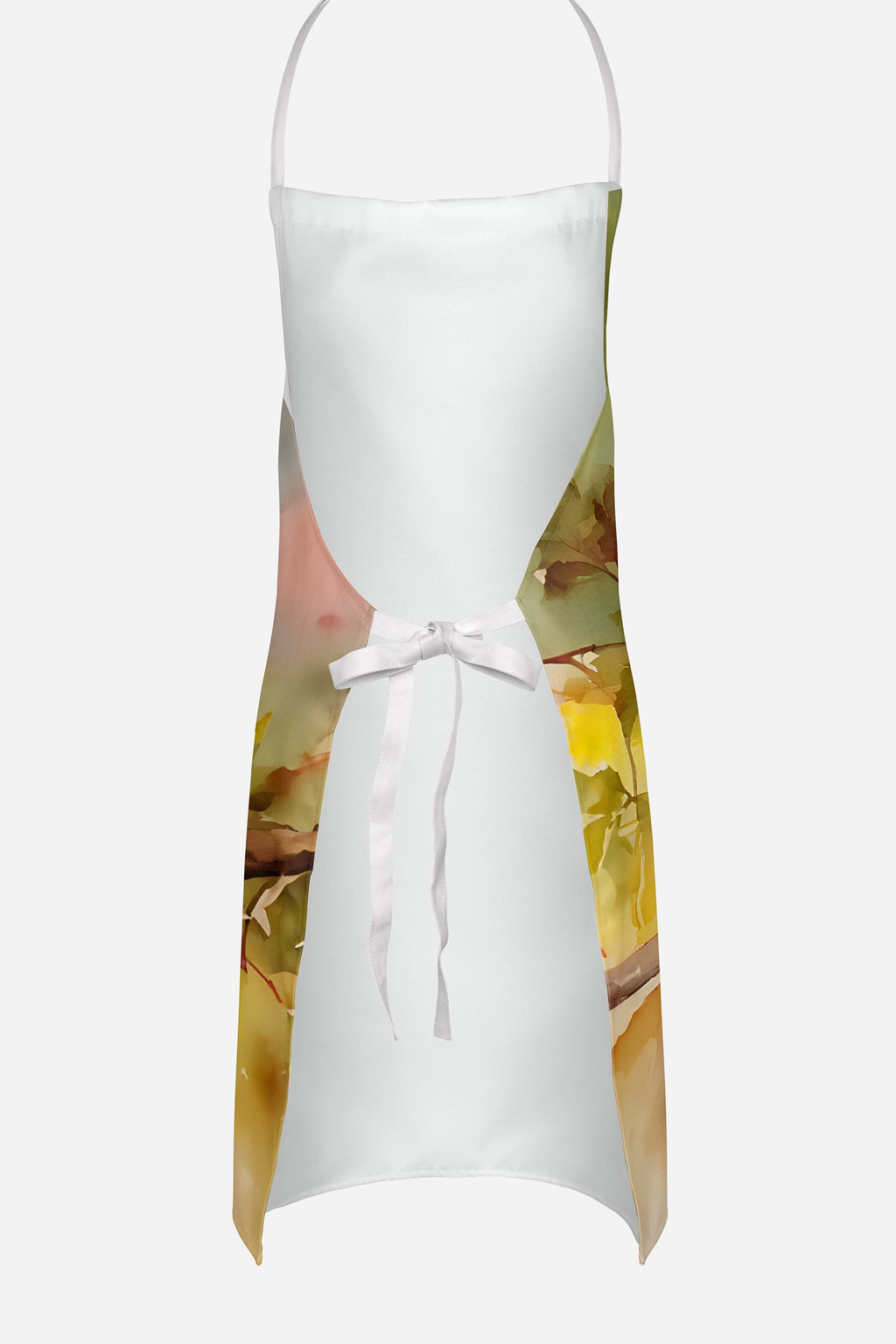 Cardinal Apron-3
