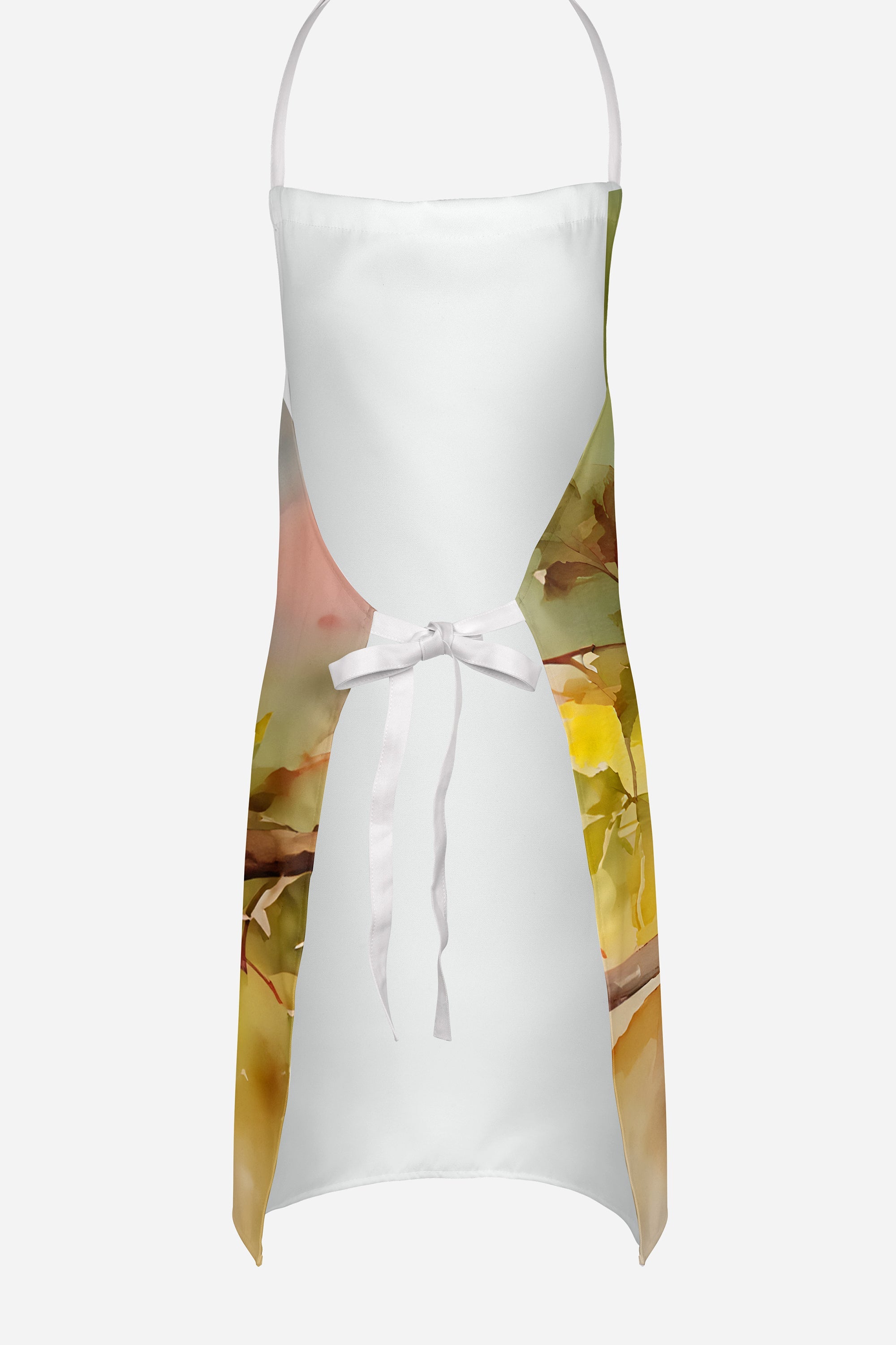 Cardinal Apron-3