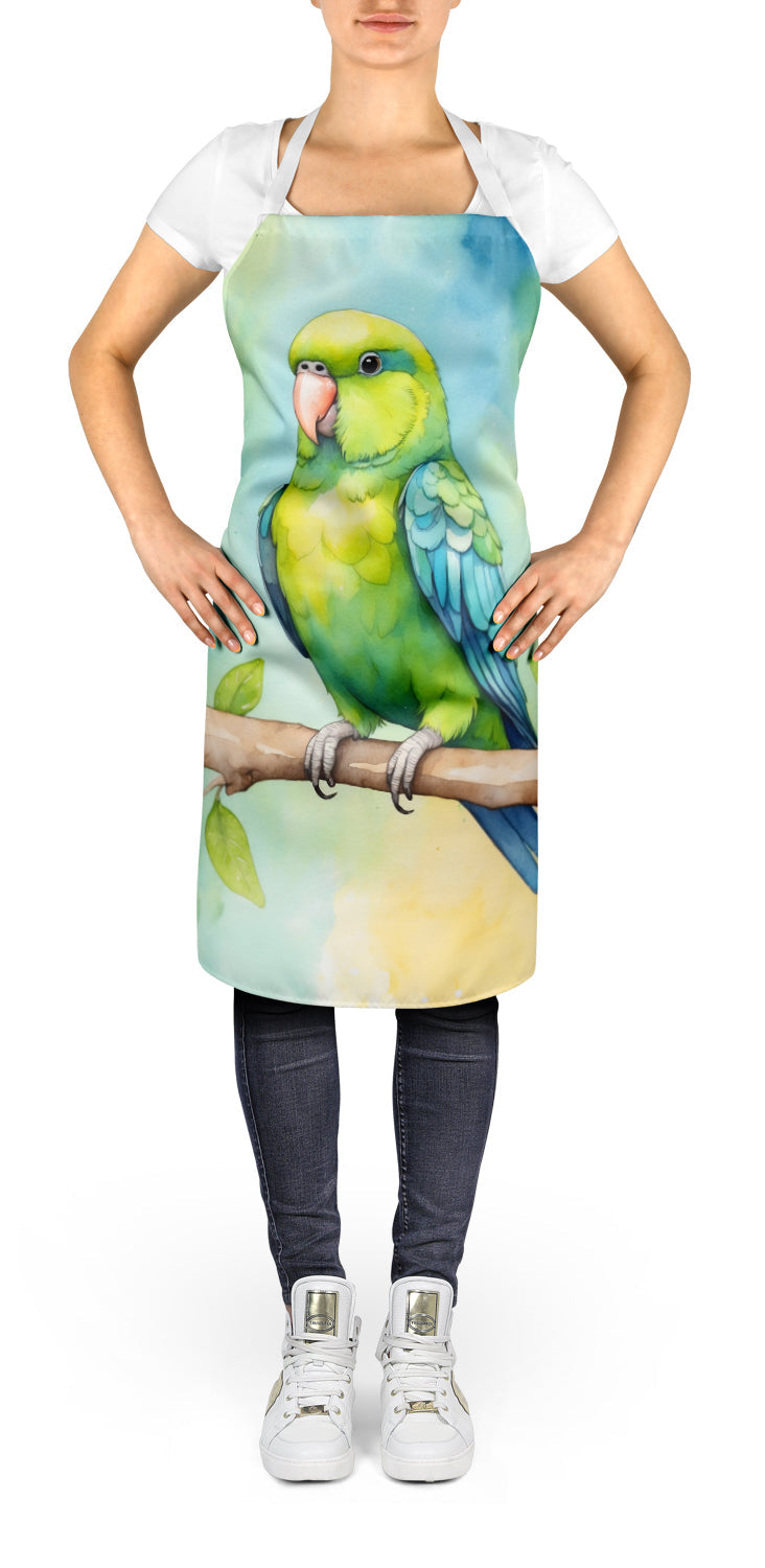 Parrotlet Apron-1
