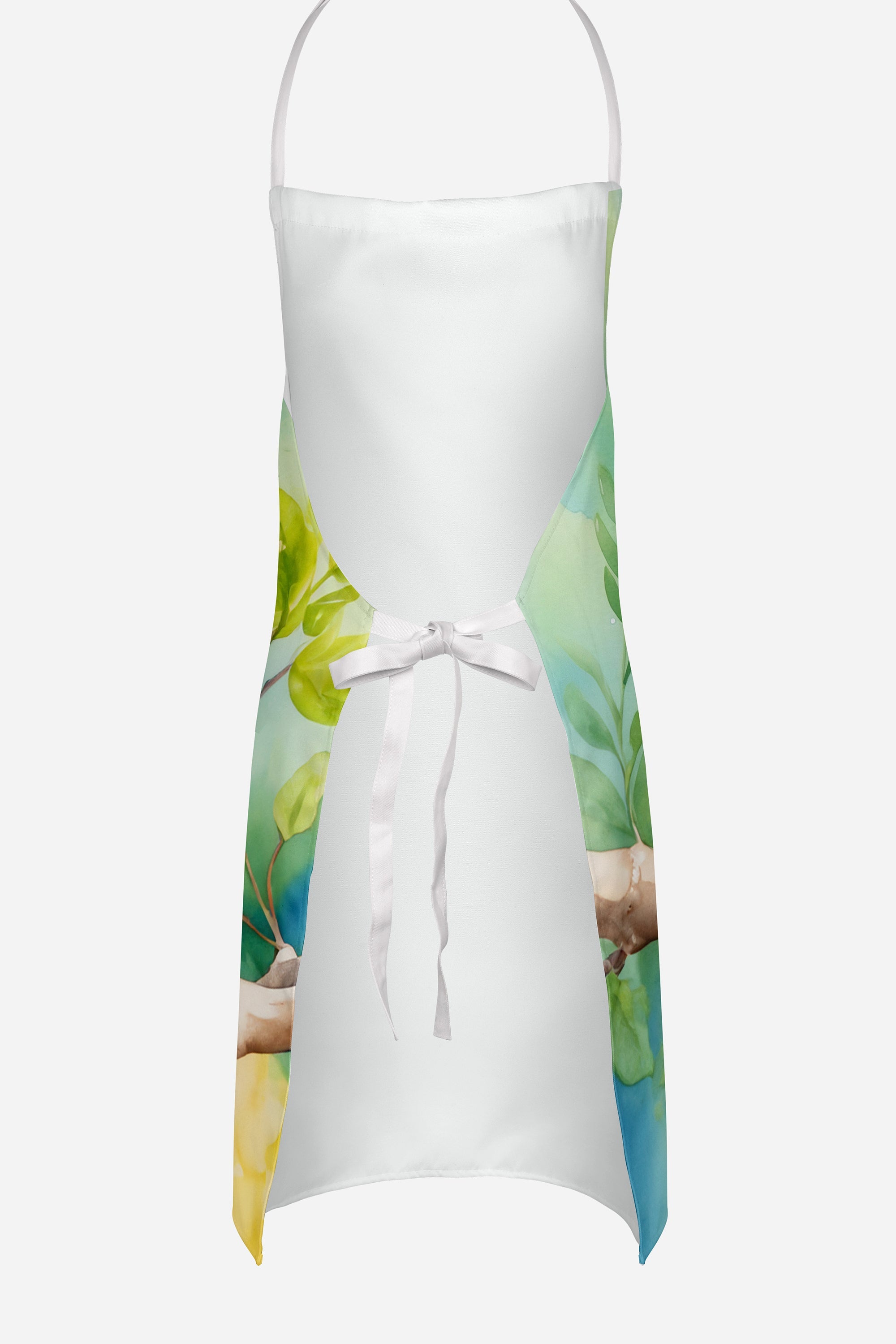 Parrotlet Apron-3