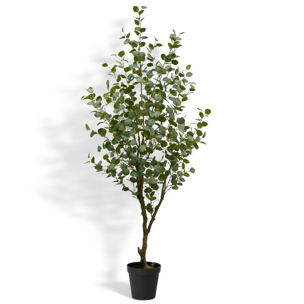 Artificial Eucalyptus Tree, 7'