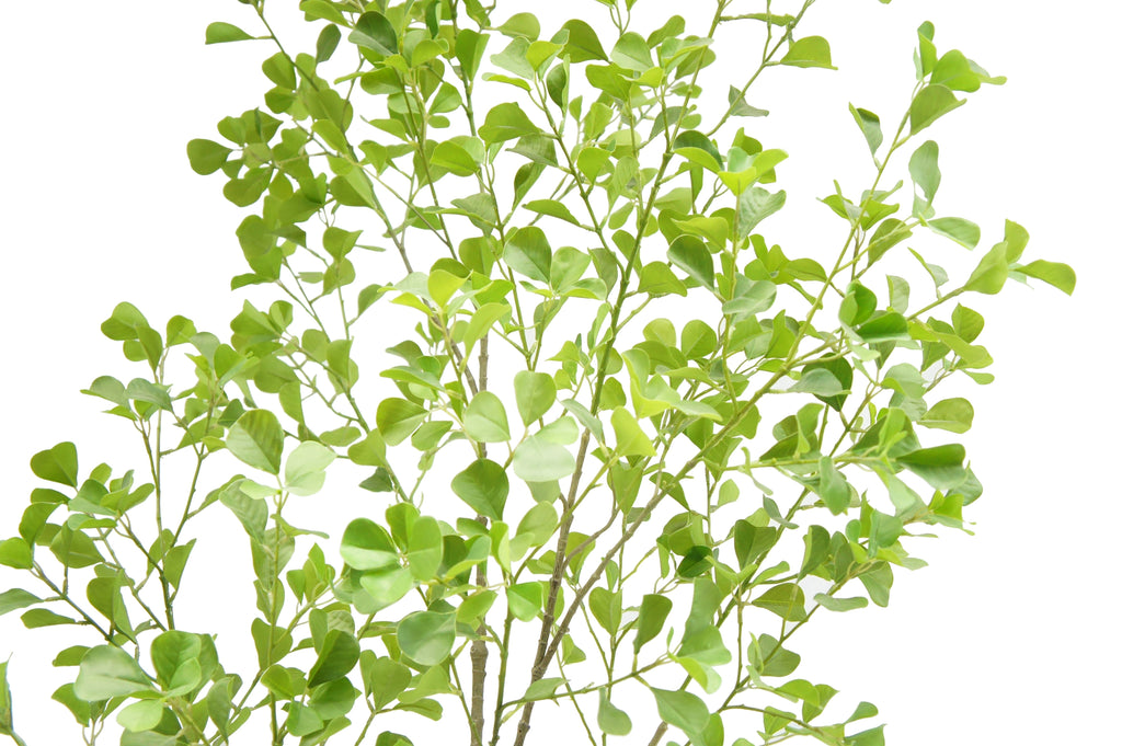 Artificial Ficus Tree, 7'-2
