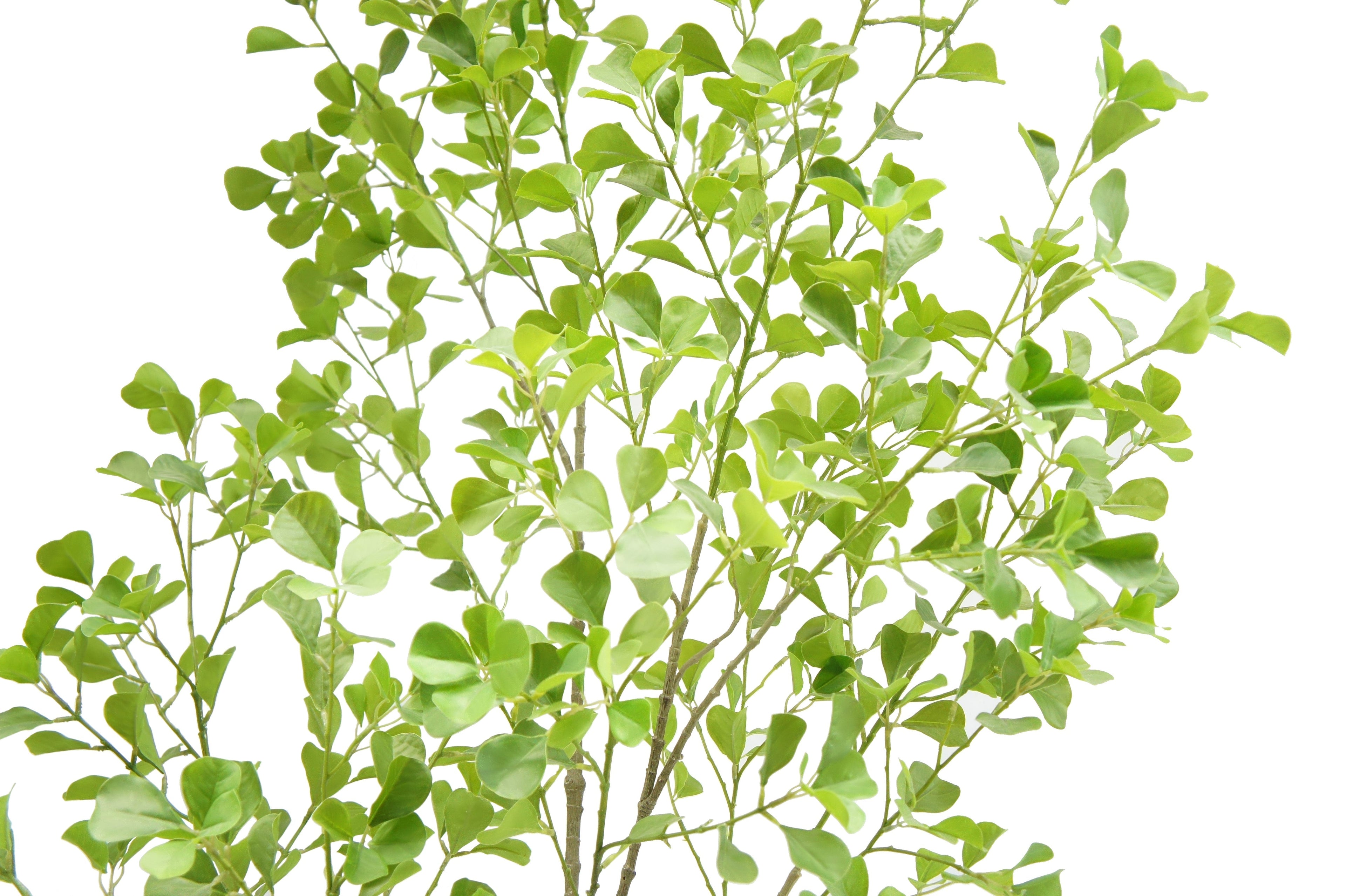 Artificial Ficus Tree, 7'-2