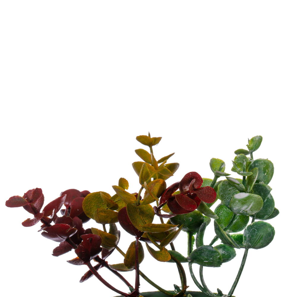 18" Red and Green Spiral Artificial Eucalyptus Wreath
