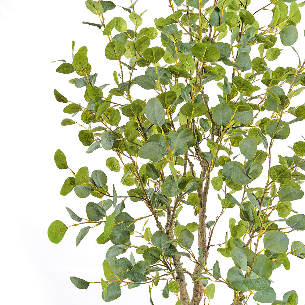 Artificial Eucalyptus Tree, 7'