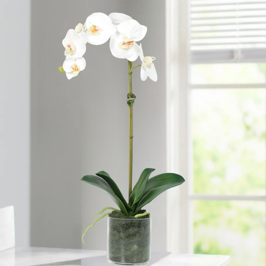Artificial Orchid Plant in Vase - 20"-3