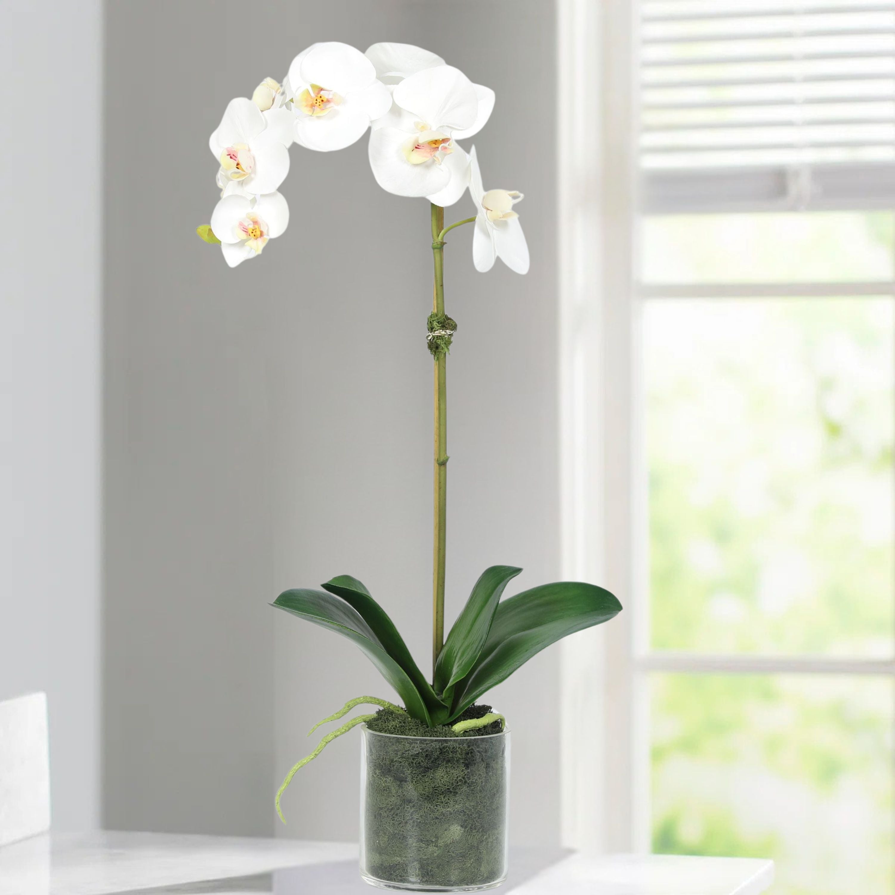 Artificial Orchid Plant in Vase - 20"-3