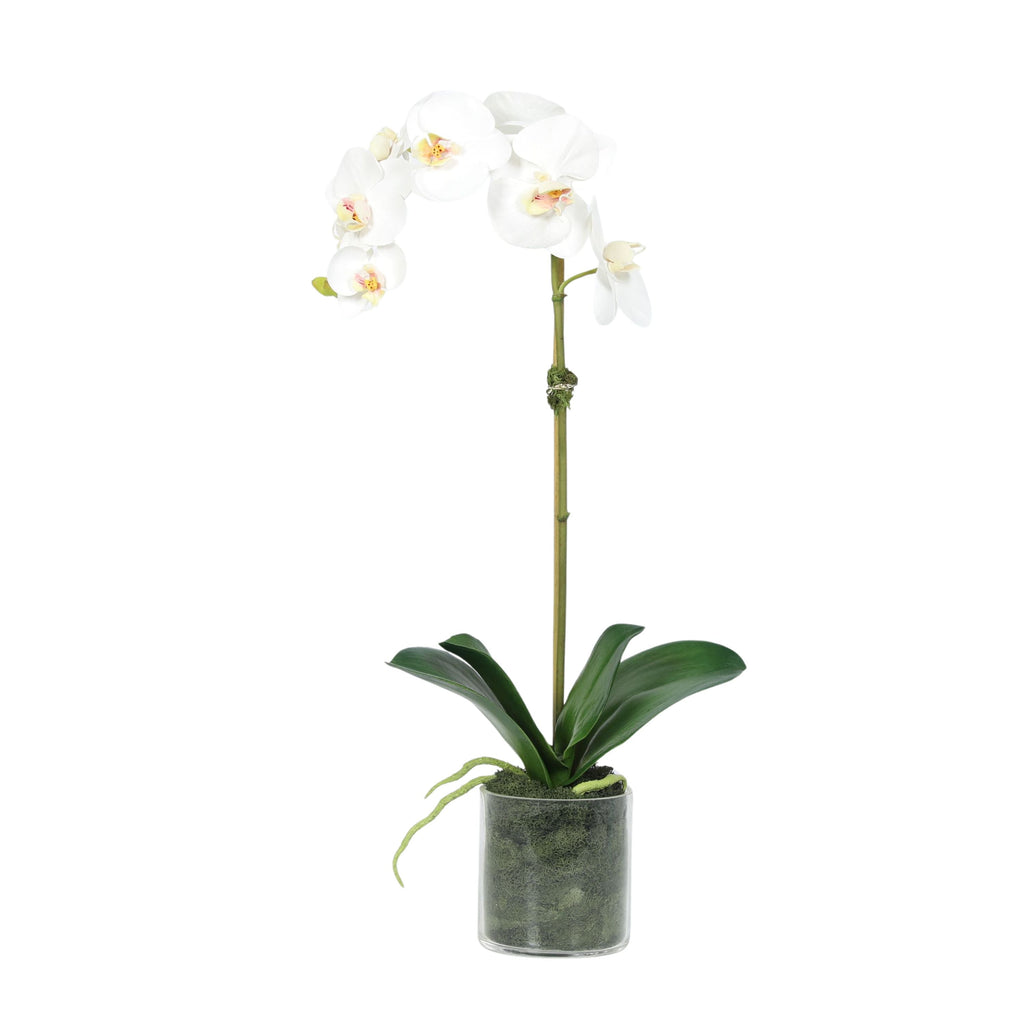 Artificial Orchid Plant in Vase - 20"-2