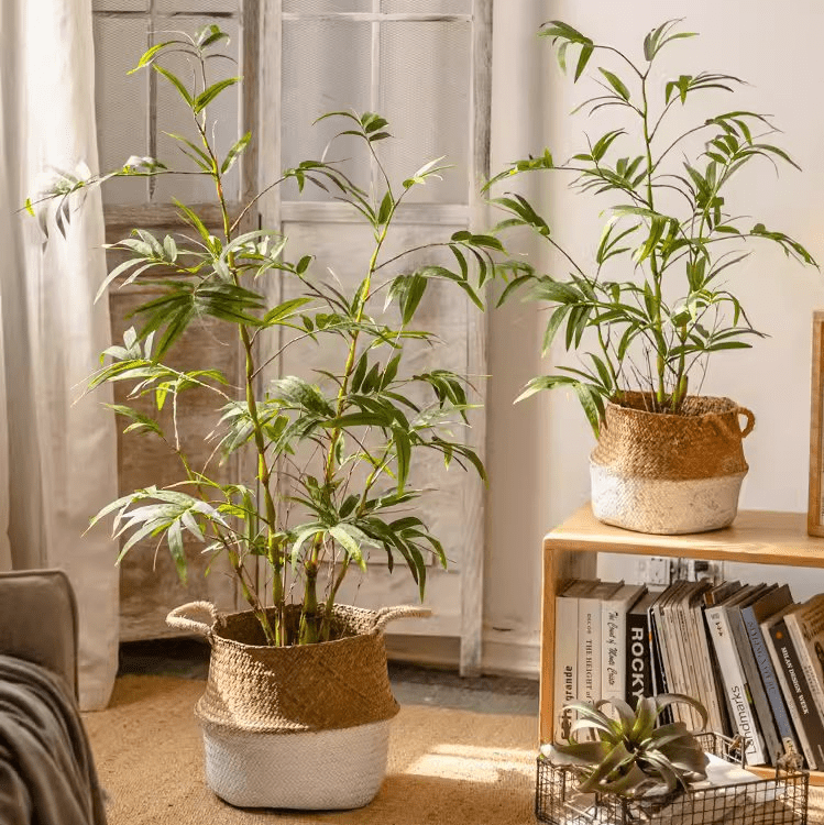 Artificial Bamboo Leaves in Pot (Shipping fees may apply)-0