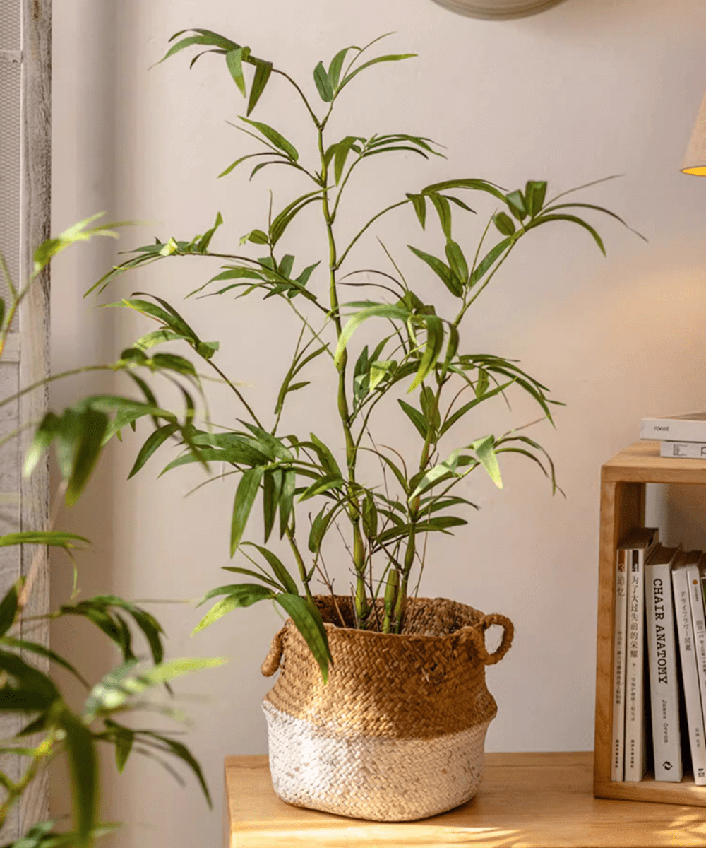 Artificial Bamboo Leaves in Pot (Shipping fees may apply)-1