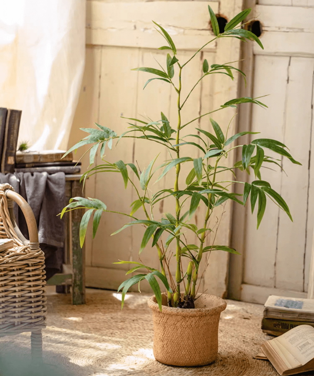Artificial Bamboo Leaves in Pot (Shipping fees may apply)-3