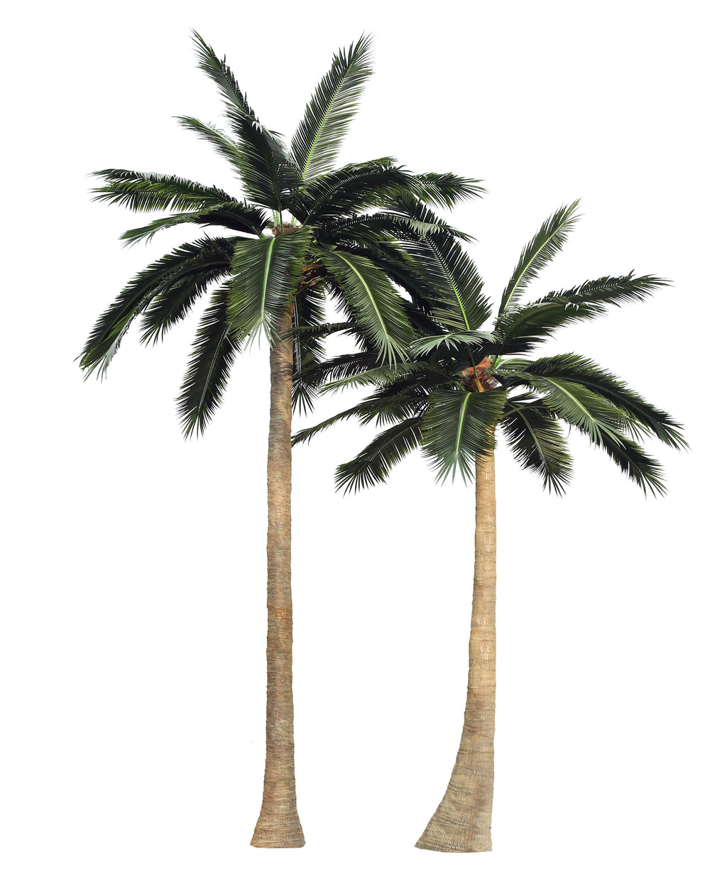 Monumental Coconut Palm Artificial Tree 13ft–39ft – UV Resistant (10–12 Week Lead Time)-0