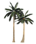 Monumental Coconut Palm Artificial Tree 13ft–39ft – UV Resistant (10–12 Week Lead Time)-0