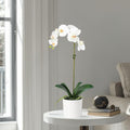 Artificial Orchid Plant in Vase - 20"-5