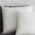 Basic Pillow Insert-0