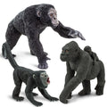 Primate Family Fun Pack-0