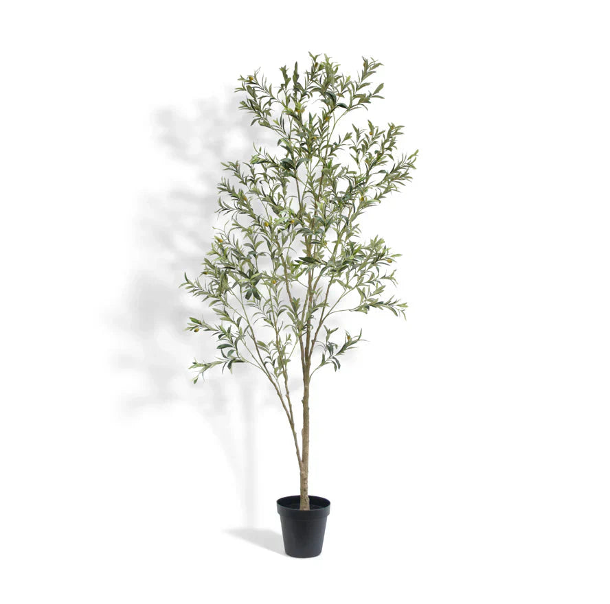 7ft Artificial Olive Tree