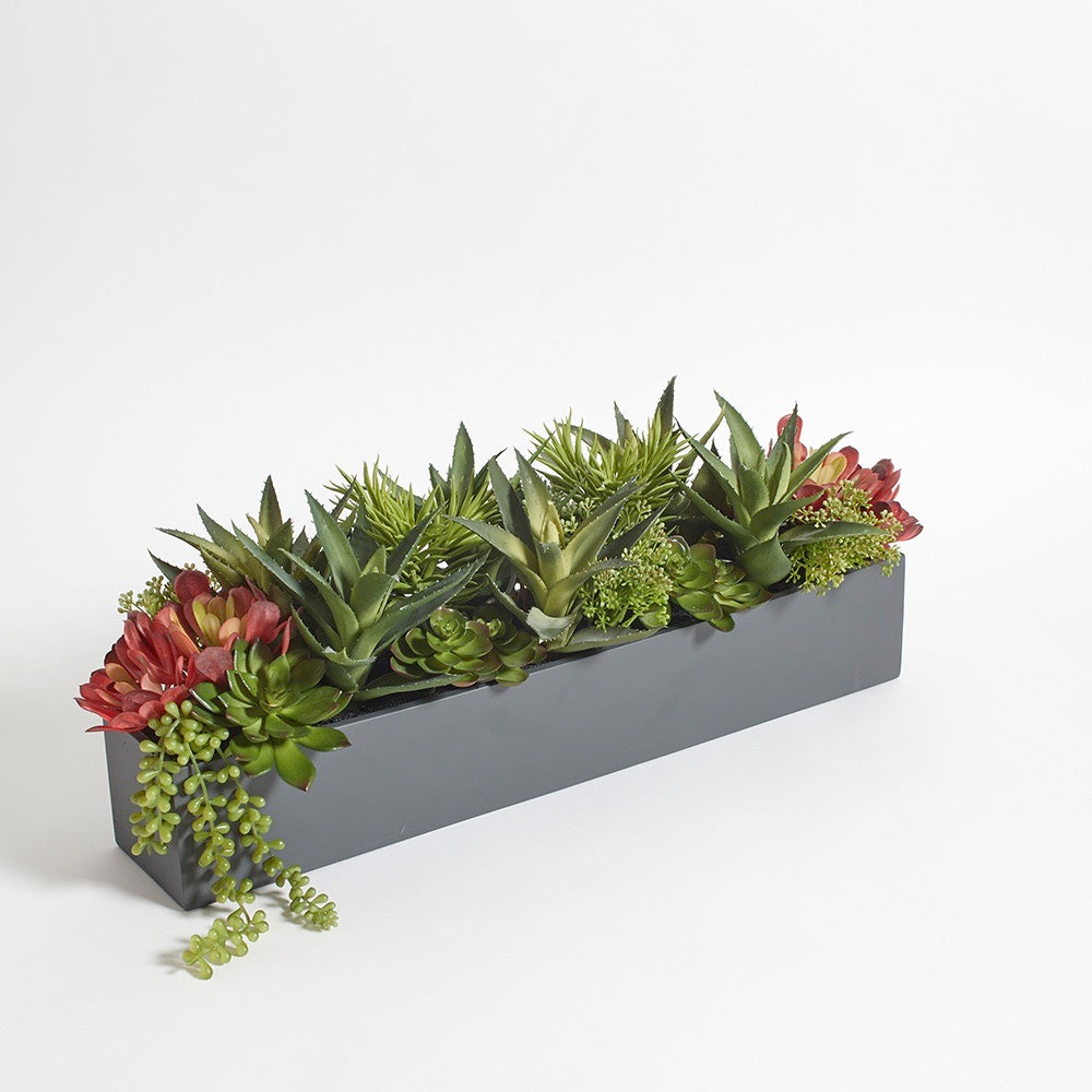 Mixed Artificial Succulent Arrangement-4