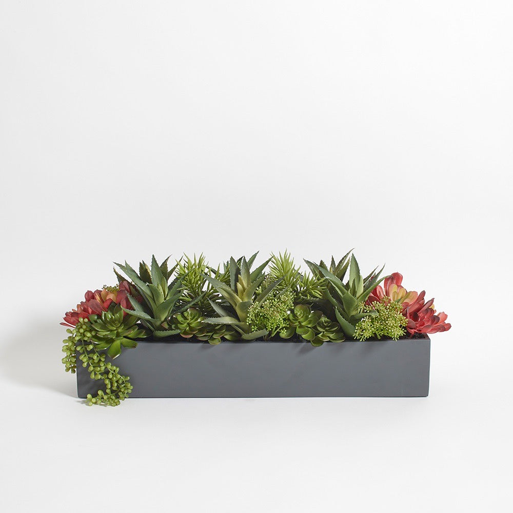 Mixed Artificial Succulent Arrangement-0
