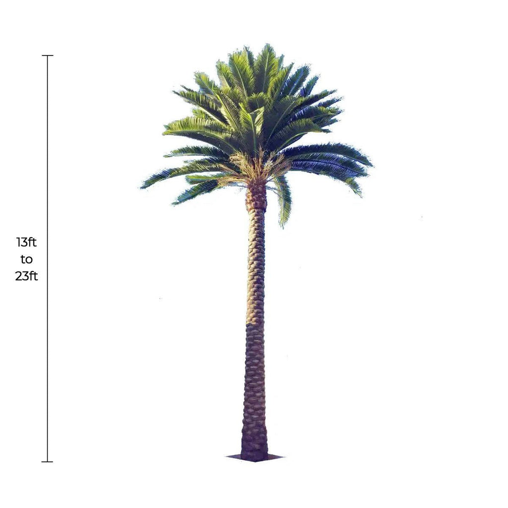 Florida Palm Artificial Tree 13ft–23ft – UV Resistant (10–12 Week Lead Time)-1