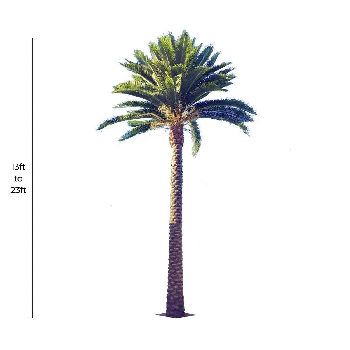 Florida Palm Artificial Tree 13ft–23ft – UV Resistant (10–12 Week Lead Time)-1