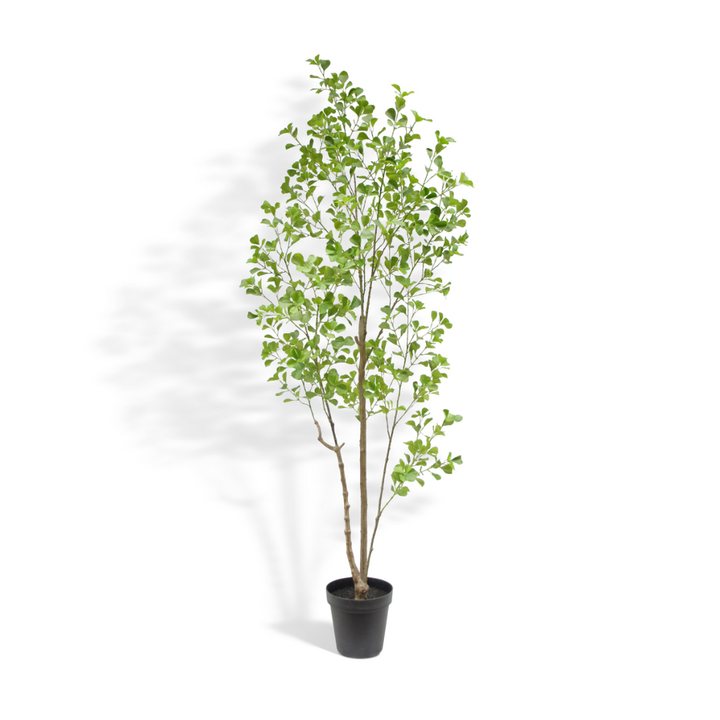 Artificial Ficus Tree, 7'-0