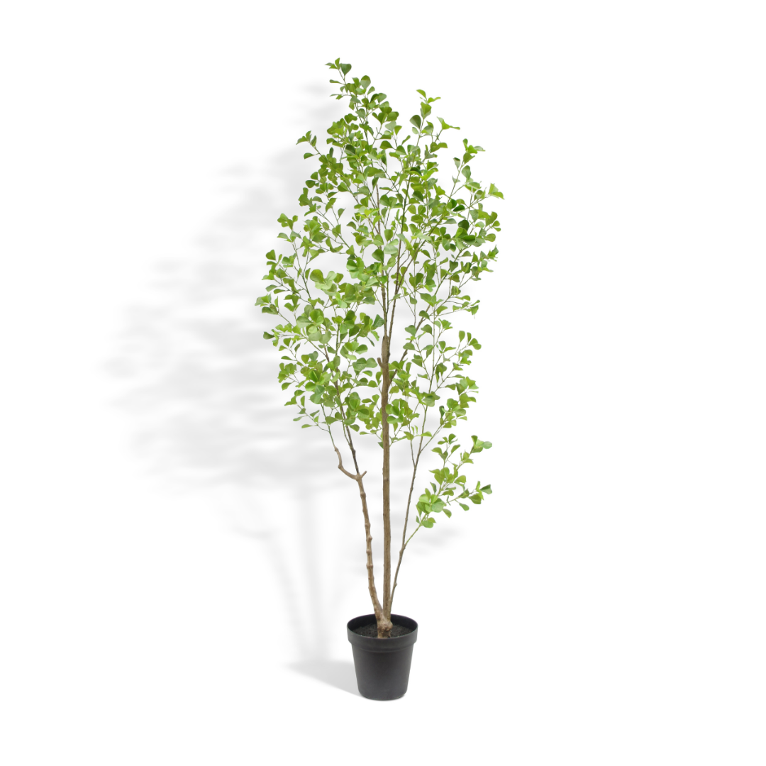 Artificial Ficus Tree, 7'-0