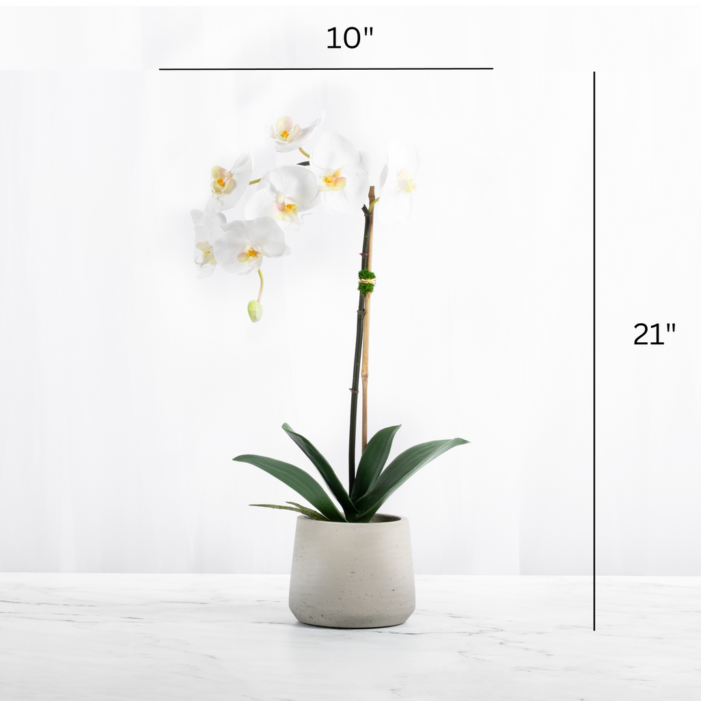 Artificial Orchid Plant White Orchid Plant-1