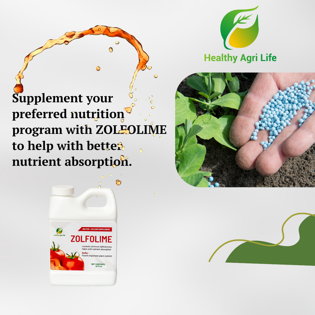 Zolfolime - Sulfur for Plants and Lawn-3