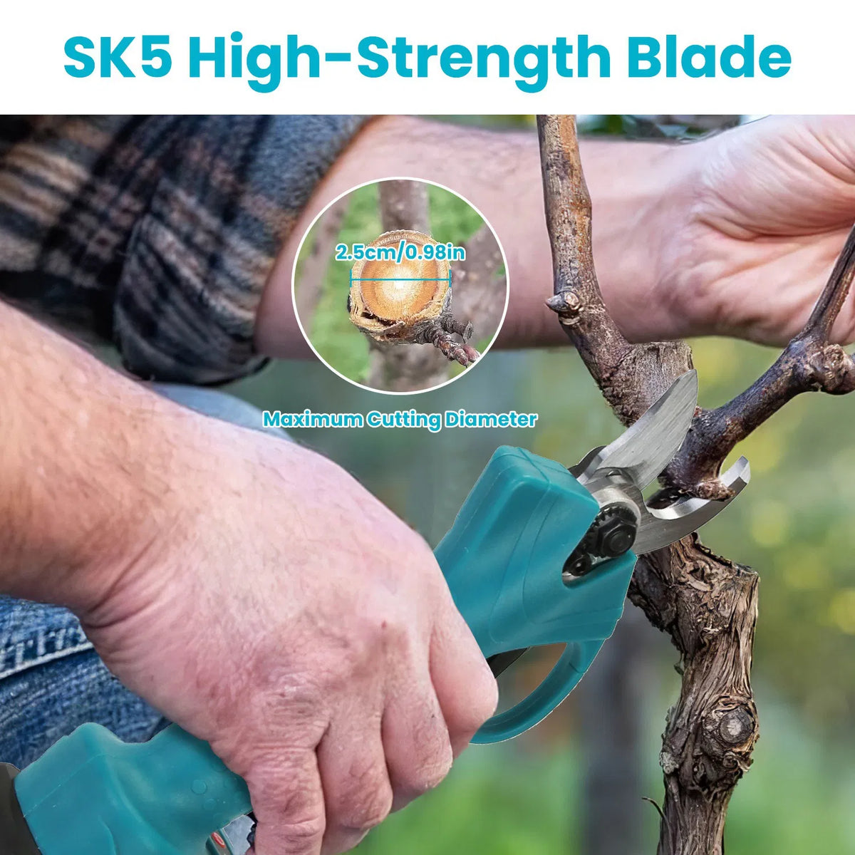 1b91434a1aa91deb9b6aa946585af550