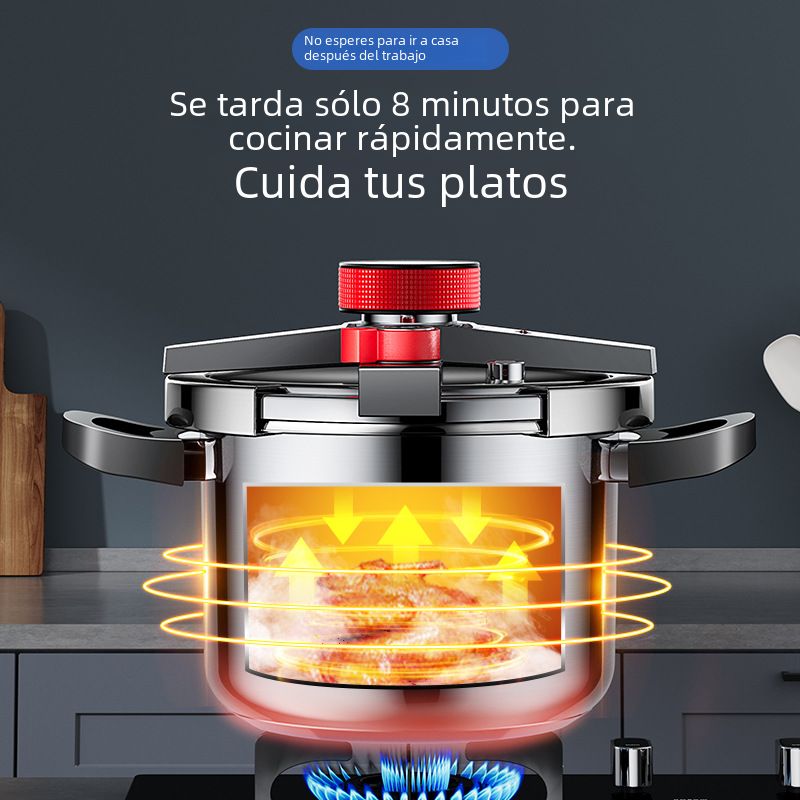 AEU 6L Stainless Steel Pressure Cooker for Home Use