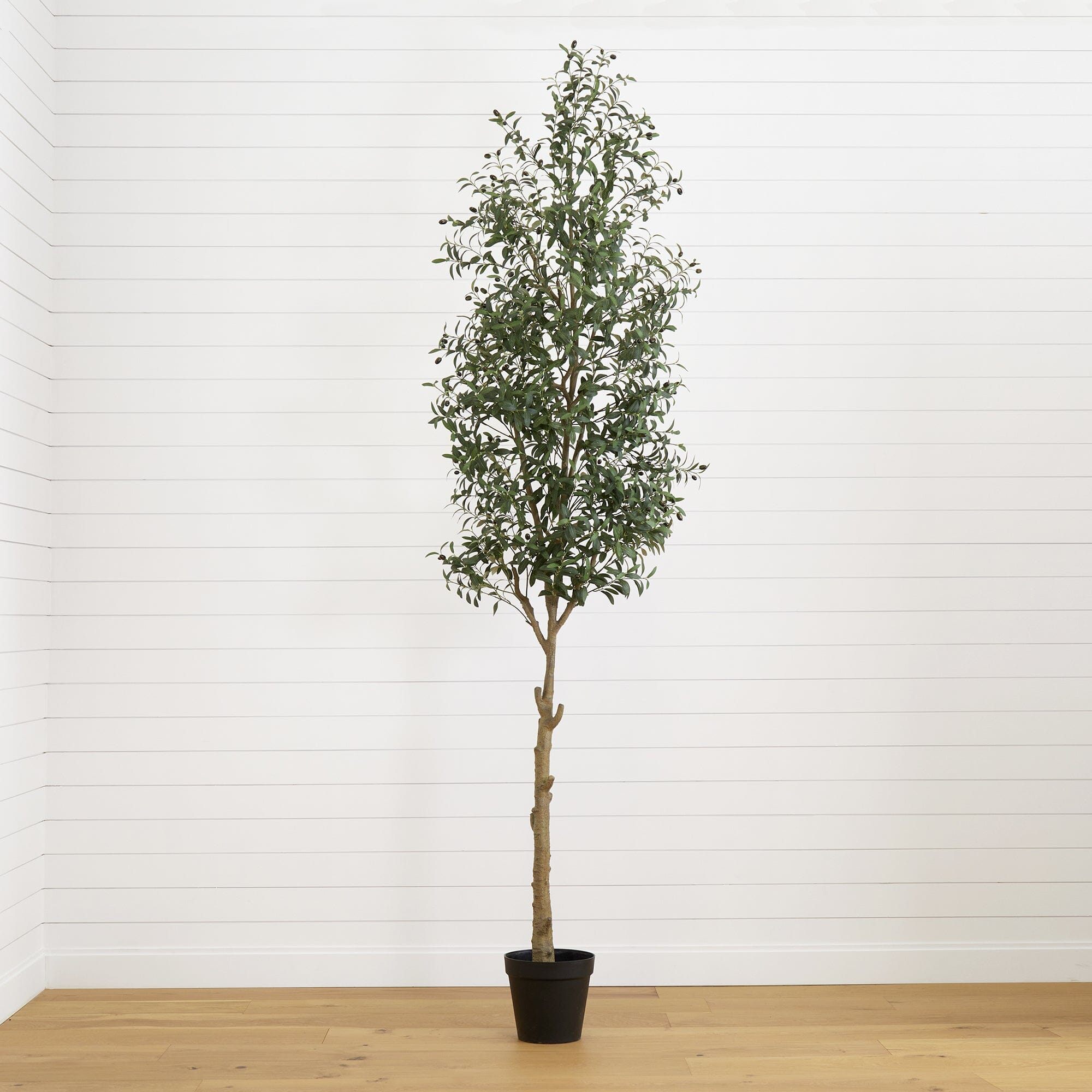 10’ Artificial Olive Tree-0