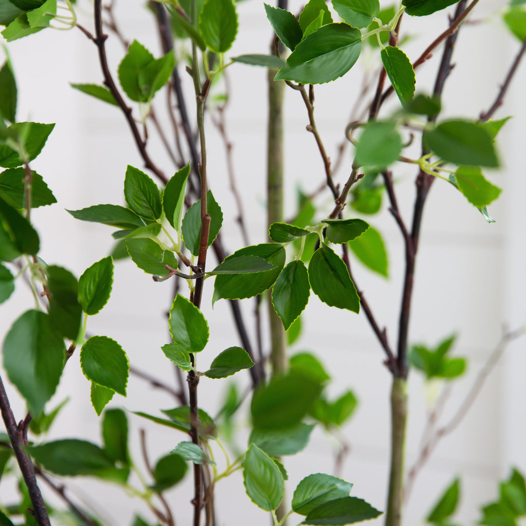 Minimalist Artificial Citrus Tree - 7'-2