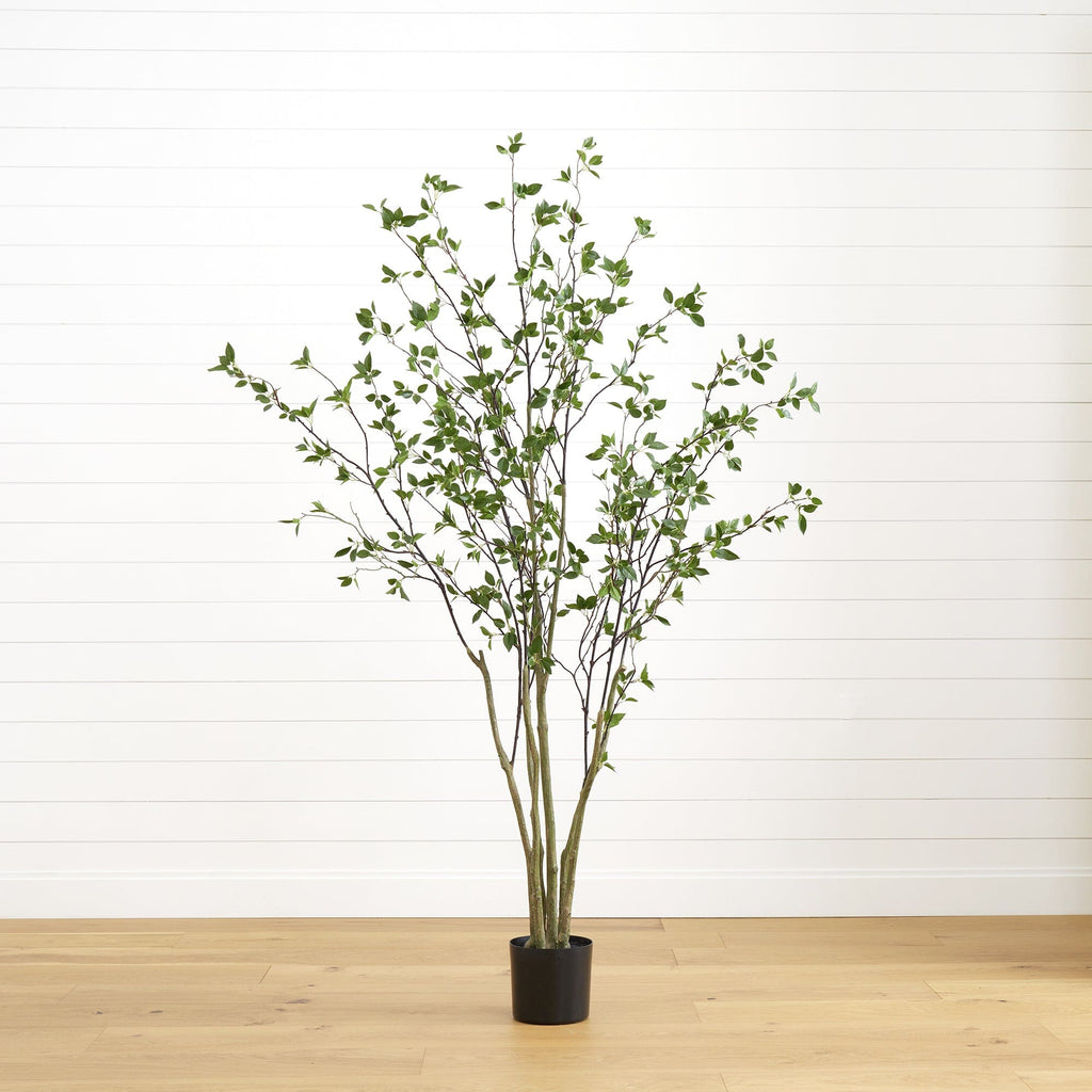 Minimalist Artificial Citrus Tree - 7'-0