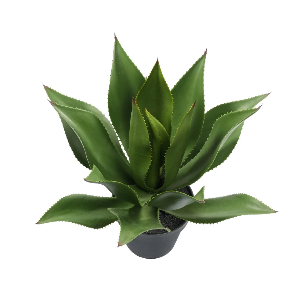Agave Artificial Tree 21.7in – UV Resistant-3