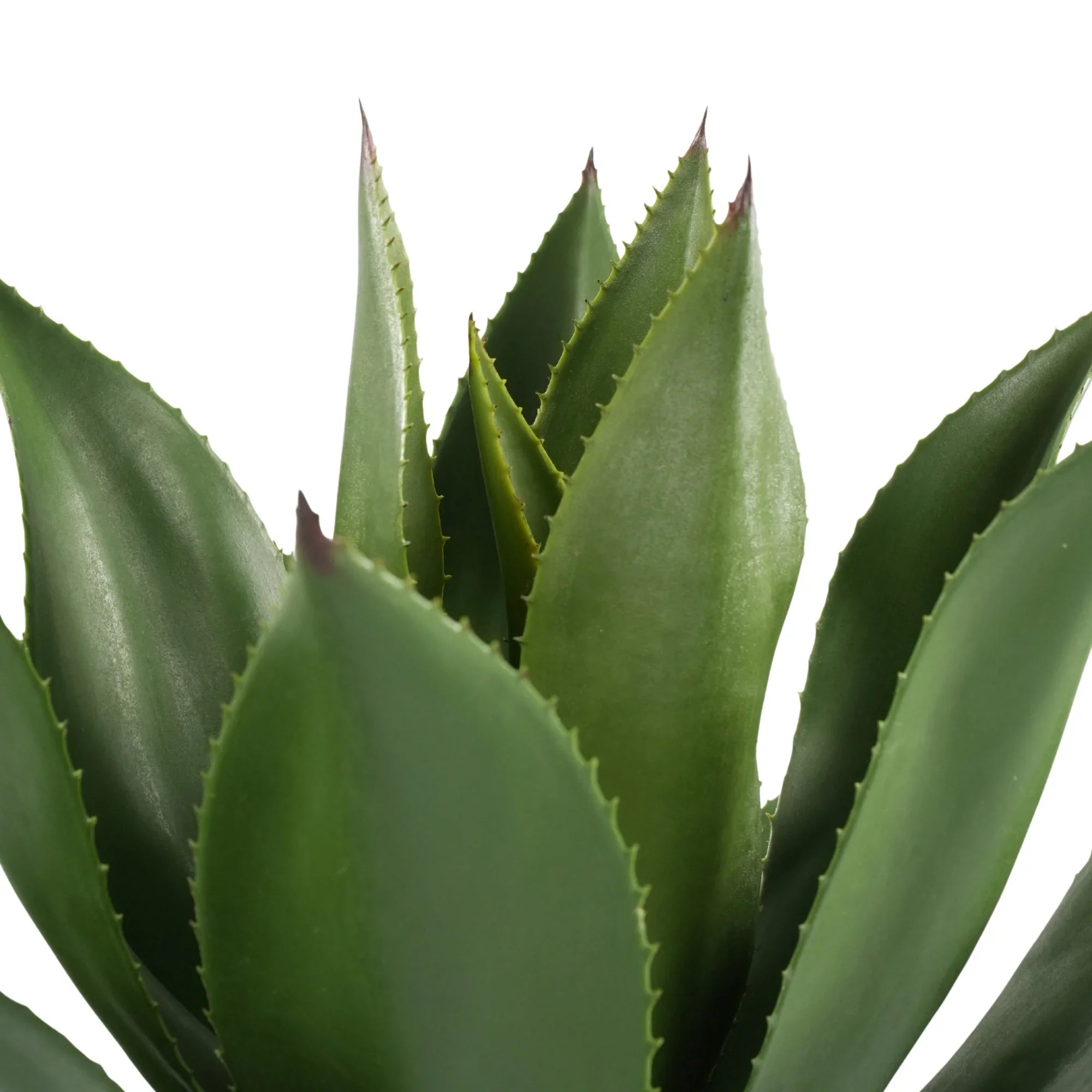 Agave Artificial Tree 21.7in – UV Resistant-4