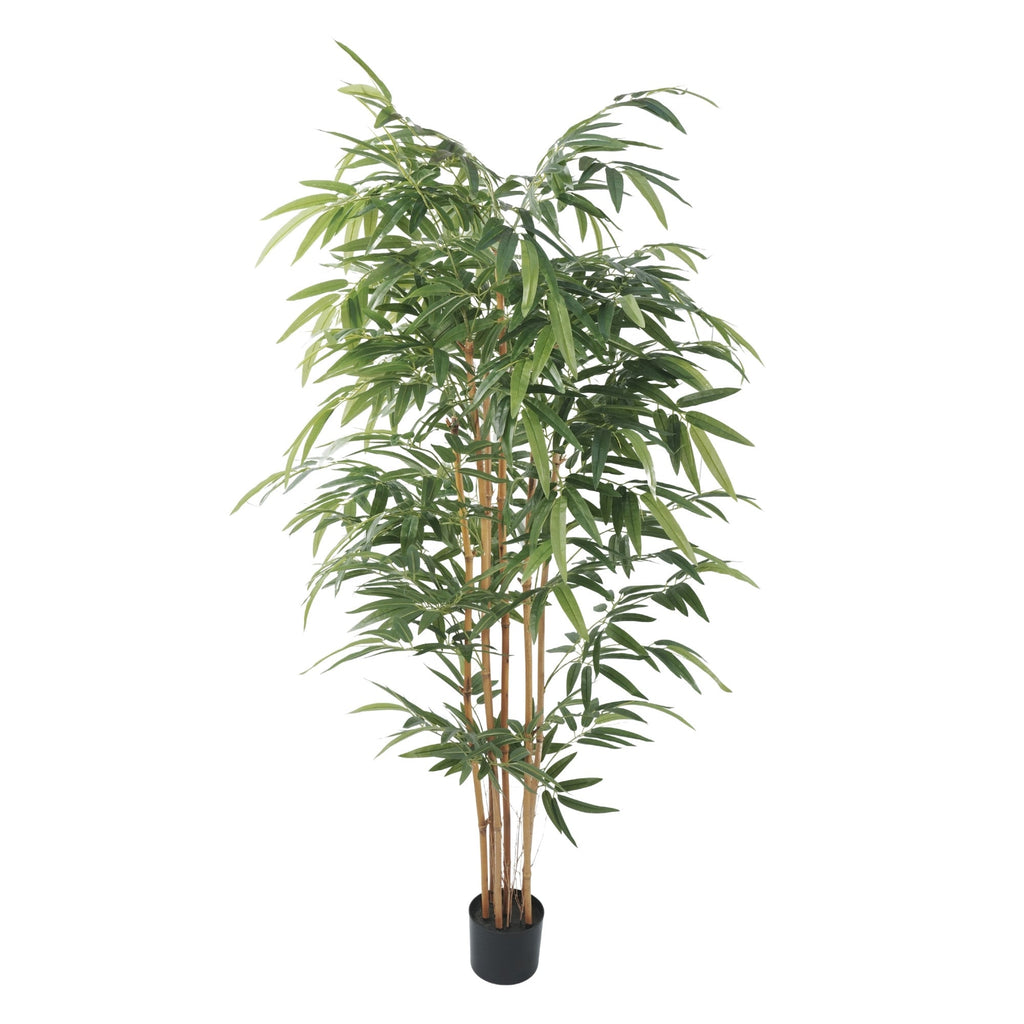 Potted Bamboo Natural Trunk Artificial Tree 70.9in-4