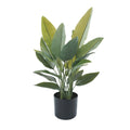 Strelitzia Bird of Paradise Artificial Tree 27.6in-0