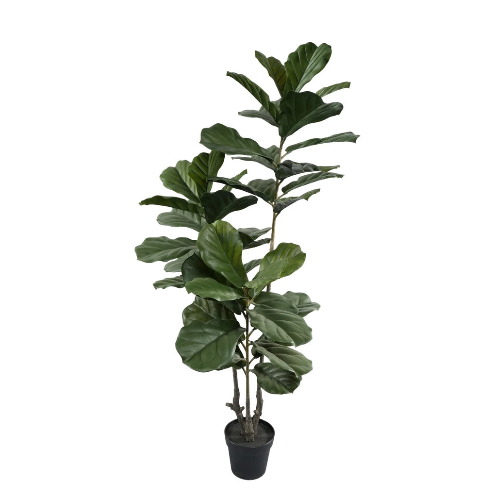 Fiddle Leaf Artificial Tree 63.0in – UV Resistant-0