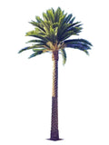 Florida Palm Artificial Tree 13ft–23ft – UV Resistant (10–12 Week Lead Time)-0