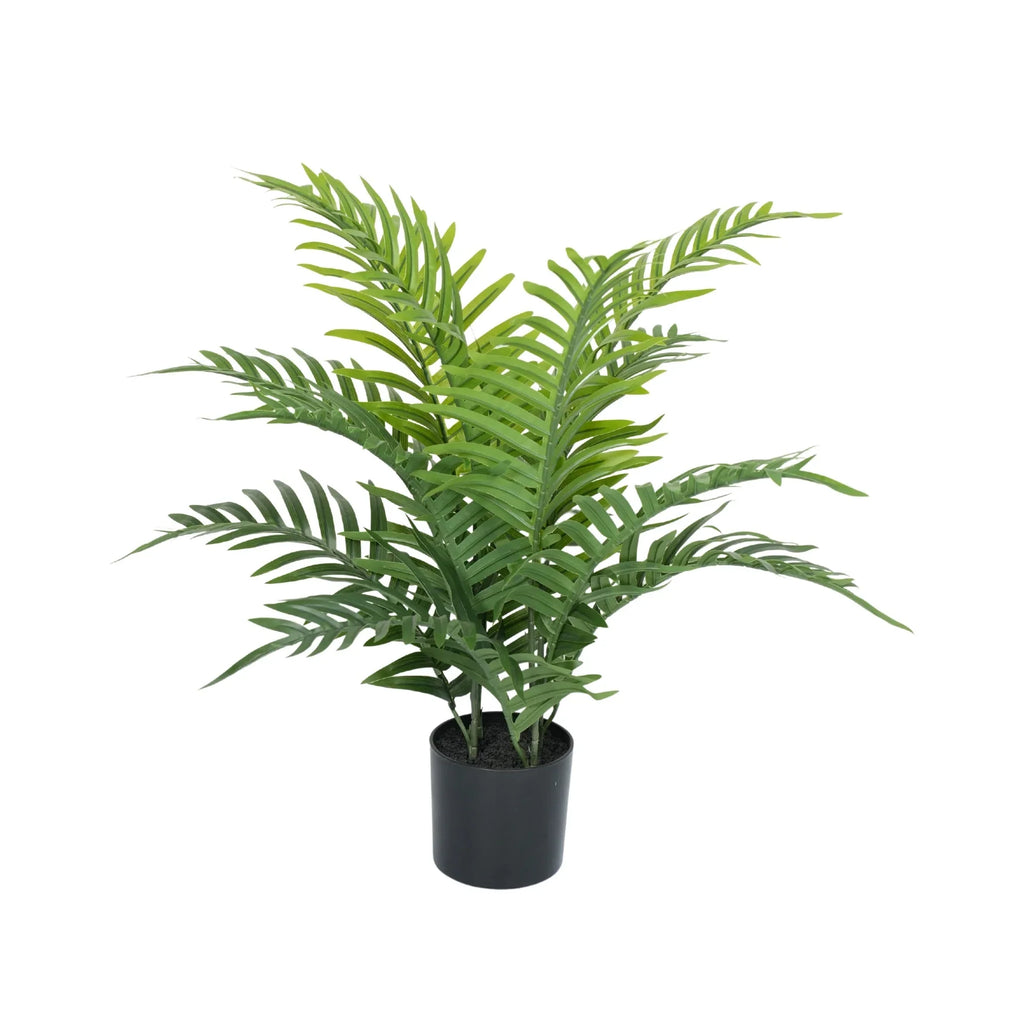 Fern Palm Artificial Tree 23.6in-2
