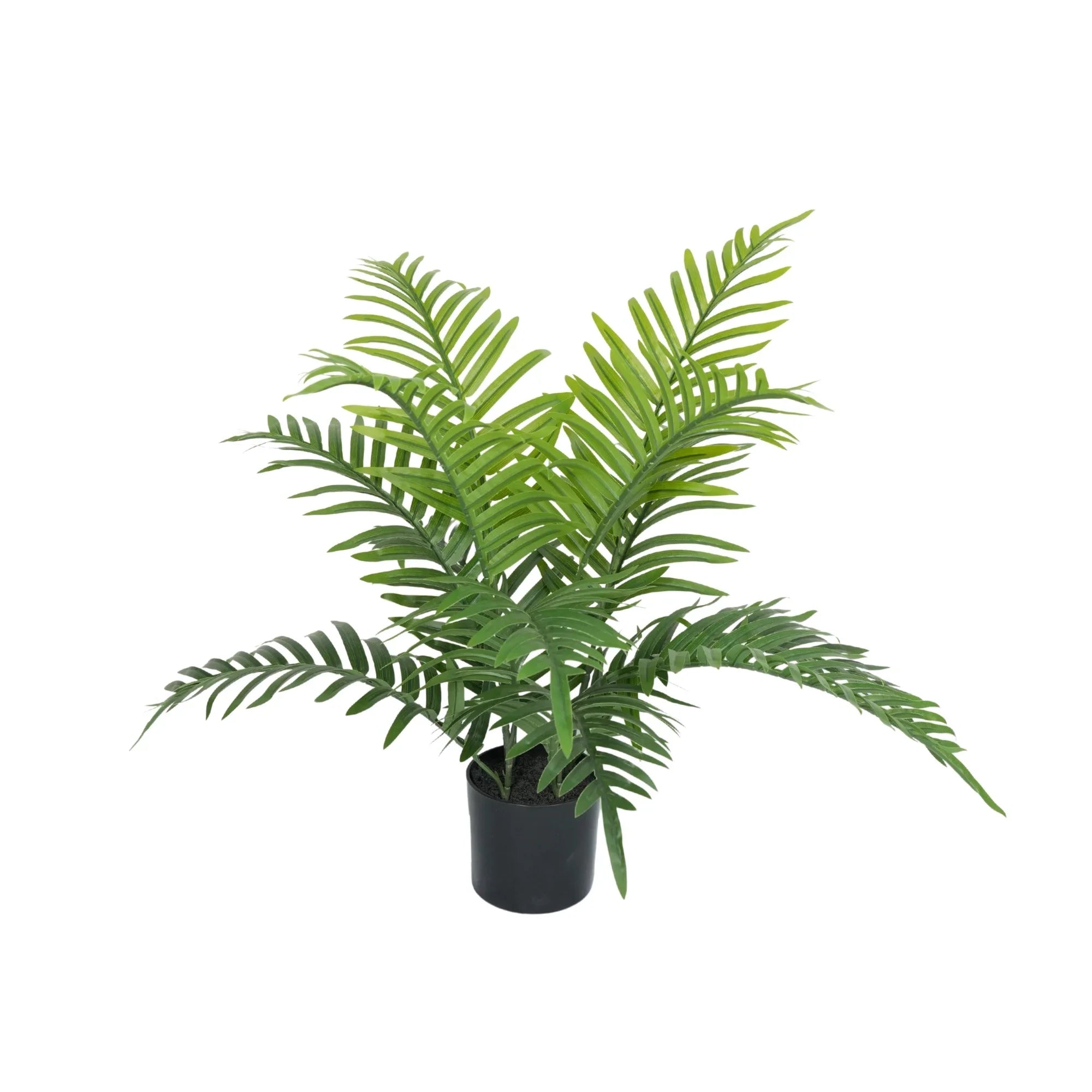 Fern Palm Artificial Tree 23.6in-3