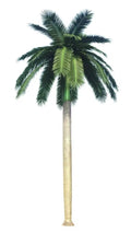 Royal Palm Artificial Tree 13ft–23ft – UV Resistant (10–12 Week Lead Time)-0