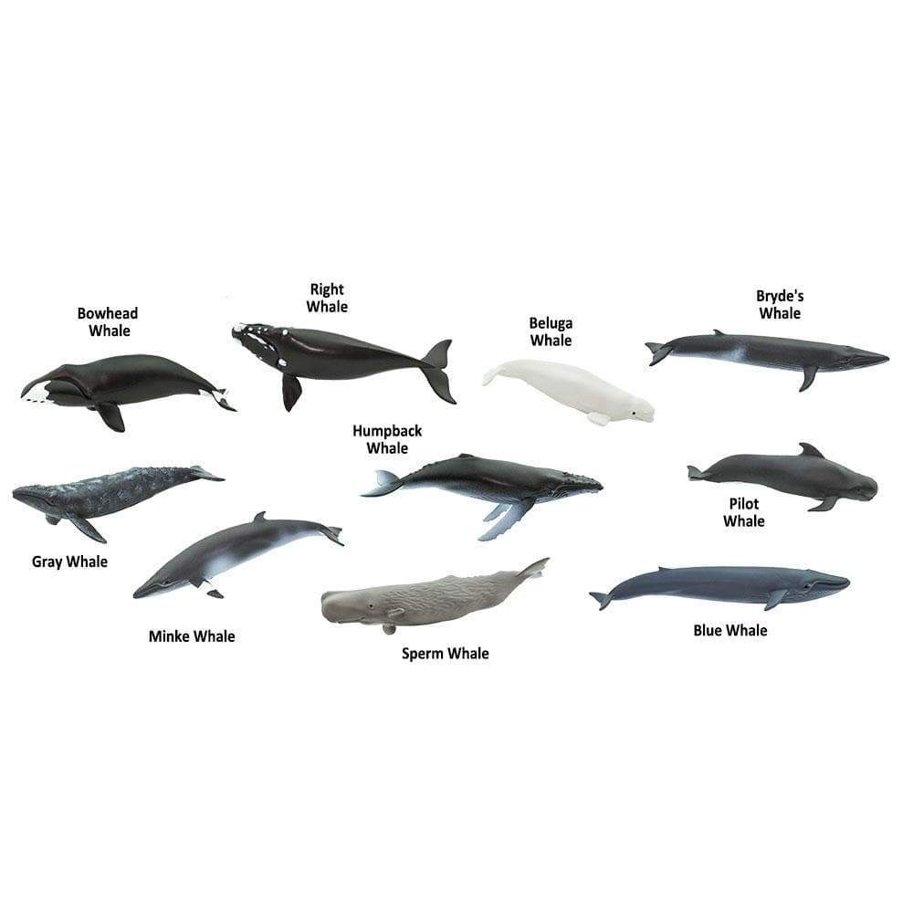 Whale Toys TOOB®