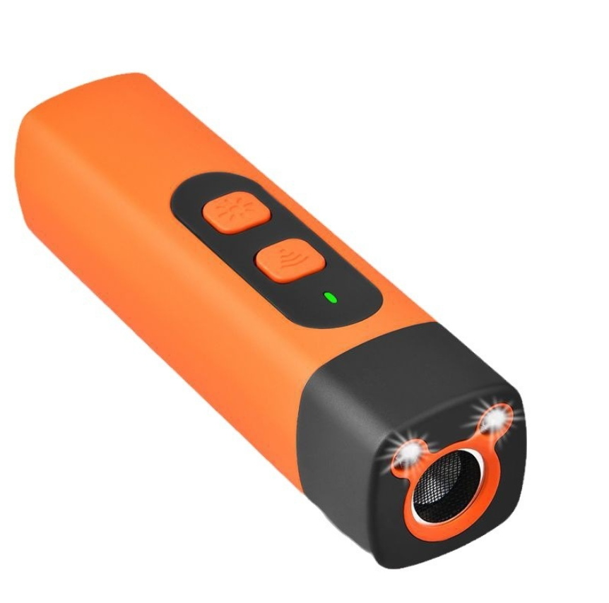 Mini Pet Training Handheld Torch