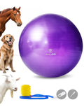 Harrison Howard Mega Horse Play Ball Anti-Burst Giant Horse Ball Horse Soccer Ball 25 Inch-Purple