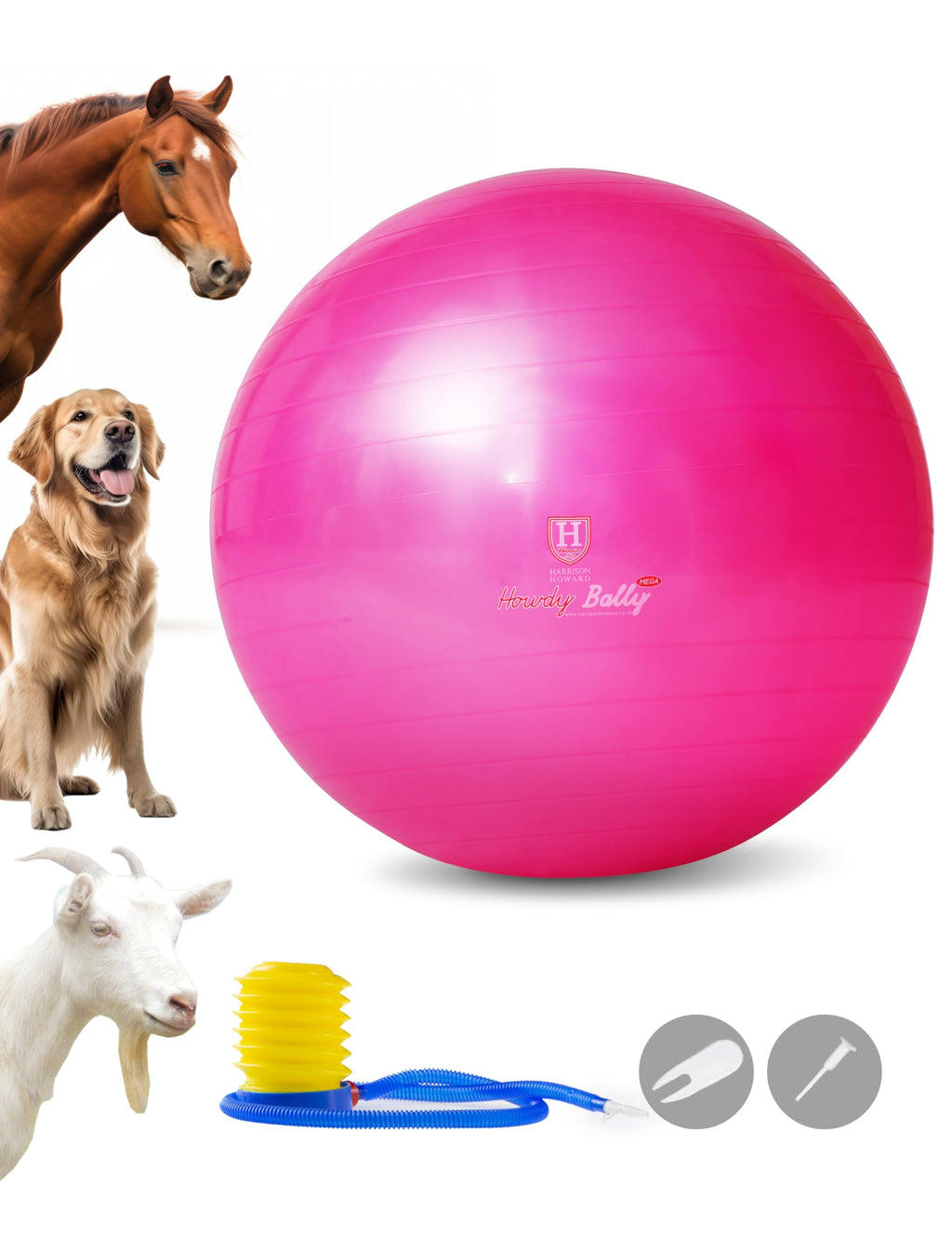 Harrison Howard Howdy Bally Mega Horse Play Ball Anti-Burst Giant Horse Ball Horse Soccer Ball Herding Ball Giant Play Ball for Horses 30 Inch-Magenta