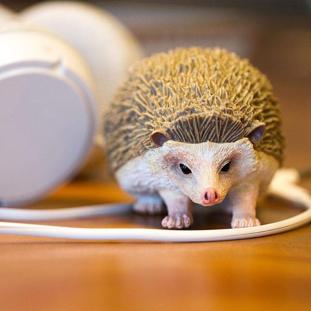 Hedgehog Toy-2